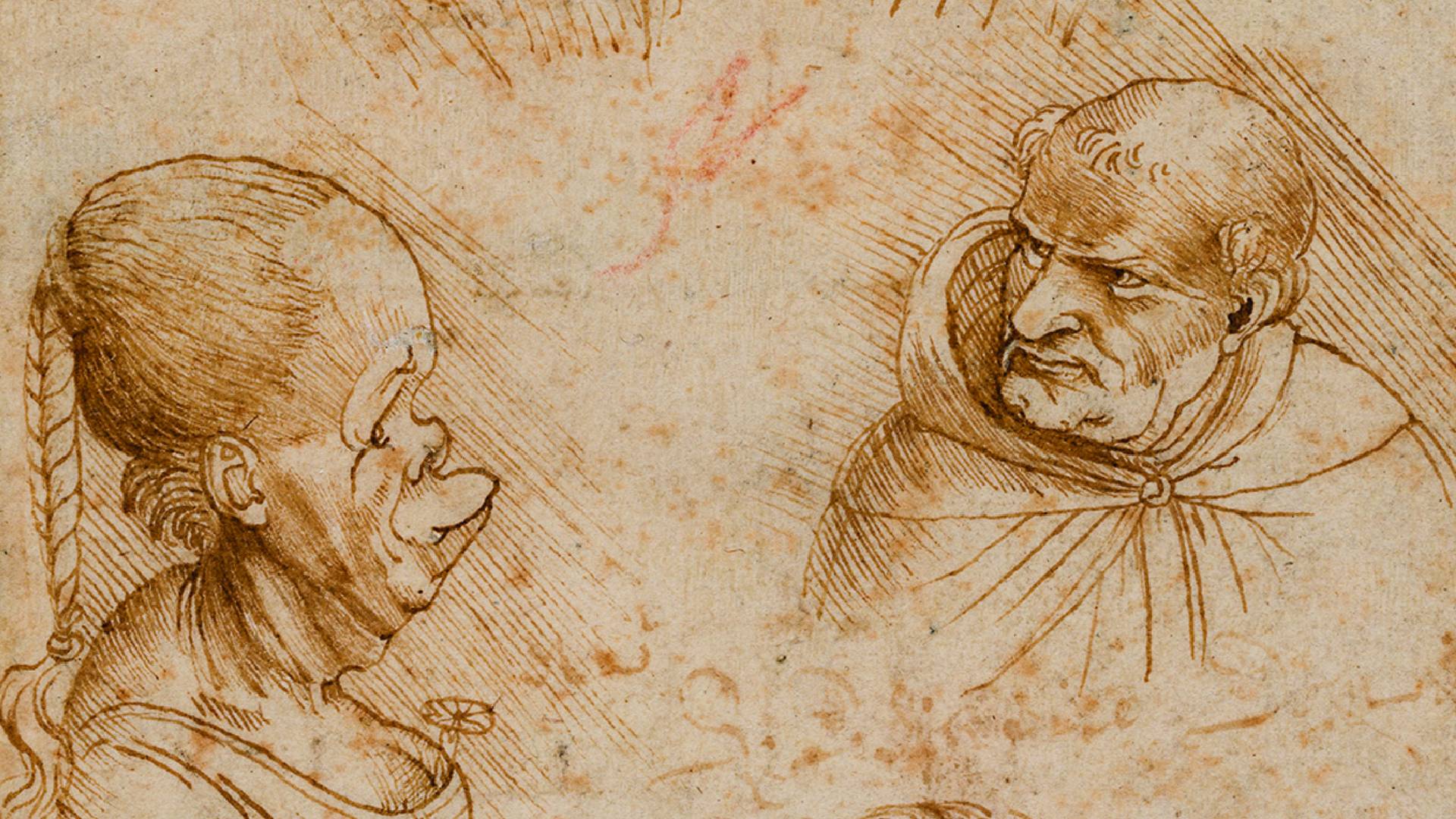 Leonardo Da Vinci Testa di Vecchia caricature venezia