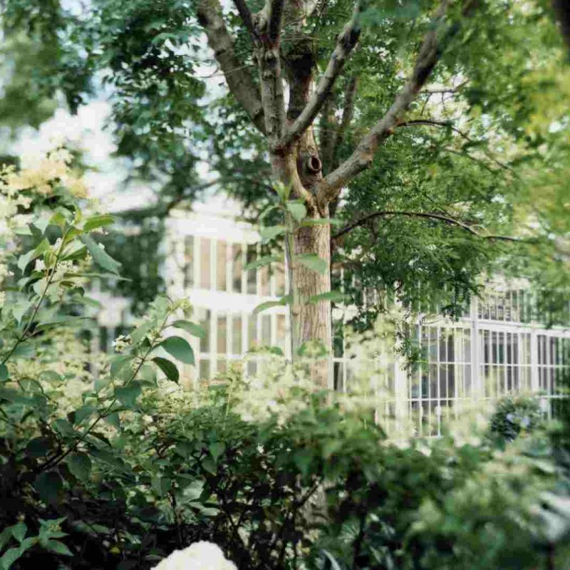 NERI_Giardini Reali 23 6 24 8 copia