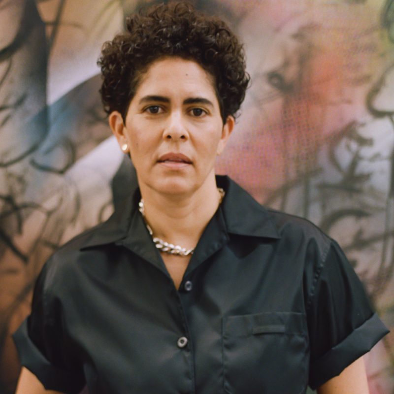 julie mehretu